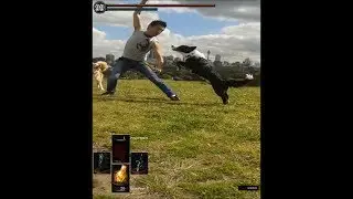 Training of Great Grey Wolf Sif