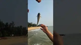 🎣 ഇത്രയും എളുപ്പത്തിൽ മീൻ കിട്ടുമോ? 😱 | Beach Fishing Malayalam #shorts #youtubeshorts #shortsfeed
