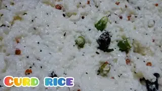 Curd rice ||summer recipe||@sahasra pothugunta