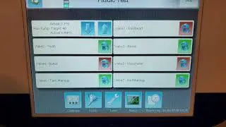 Flushing the Printer for Ink Change or Storage