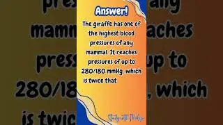 Answer | Study with Melya #shorts #study #studyinspiration #studywithme #studywithmelya