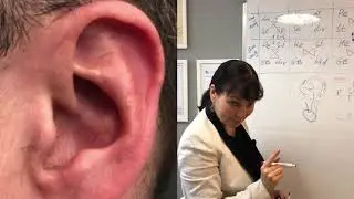 FREE OF CHARGE Online Balance Method. Importance of the Ear & Pulse diagnostics in Acupuncture