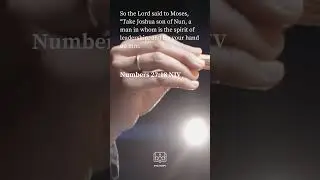 Biblescape ( Numbers 27 : 18 NIV)