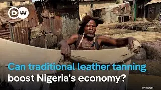 Can traditional leather tanning boost Nigeria's economy? #dwafrica