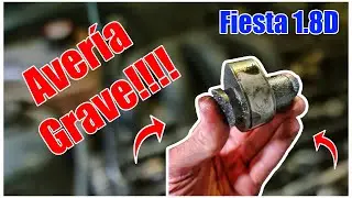 Ford Fiesta 1.8 D distribución rota, desmontaje #2