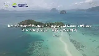 International Mountain Tourism Destinations Series Recommendation: Palawan, Philippines
