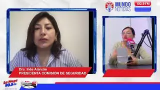 Dra. In&eacute;s Alarc&oacute;n PRESIDENTA DE LA COMISI&Oacute;N DE SEGURIDAD