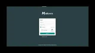 Mailcera: Best Bulk Email Sending Platform | High Inbox Rate | SMTP Ready Email Marketing Tool