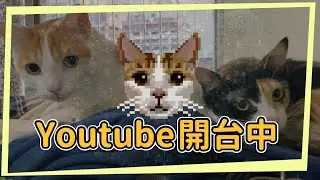 天準備進軍深空 冰2真的太op了 火炬畫面全新大升級 冰2糾纏 走一步算一步 #火炬之光無限 #輸入TLNEWLOOK