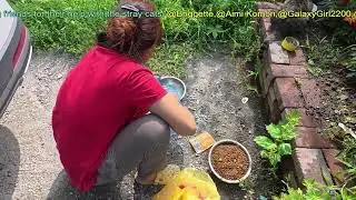 We're not just feeding cats&mdash;we're rebuilding their trust... 🧱🐈