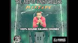 Patexx Meets Twelve Tribes Sound - The Art Of Sound Clash