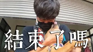 浪浪環島EP.12 | 我們決定在最後⋯