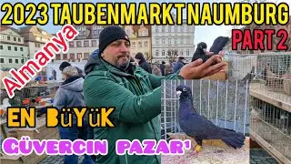 Almanyanin en büyük güvercin pazarı Deutschland größte Taubenmarkt Naumburg#aksoyfiloelvanguvercin