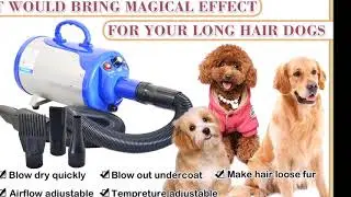 Shelandy 3.2HP Stepless Adjustable Speed Pet Hair Force Dryer Dog Grooming Blower with Heater Review