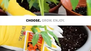 Burpee - Vegetable plants to fit your lifestyle