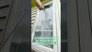 Window Washing🪣🧼 Based in Chicago📍 Pro Team Works #shorts