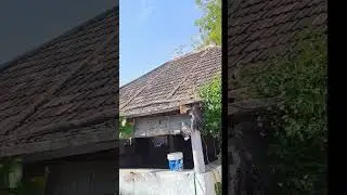 #slowlife #oldhouse #villagelife #happy #farming #enjoy #kids #family