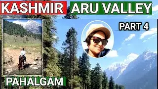 Pahalgam Aru Valley – Meadows, Mountains & Lidder Views | ARU Valley Just Before Pahalgam Attack