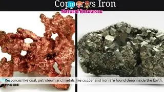 Wonder Environmental Studies &mdash; Class 4 &mdash; Natural Resources | Doublew Education