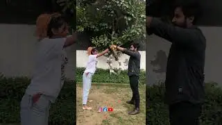 Catch the Ball Challenge | Humanly Yours