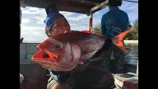 BELFIC GOES TO banggai international tuna fishing tournament 2019