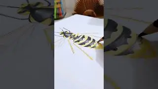 Drawing a insect in colored pencils | Coloring Drawing Art | #short #drawing #coloring