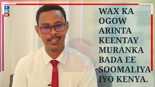WAX KA OGOW MURANKA BADA EE SOOMAALIYA IYO KENYA MIN BILOW ILAA DHAMAAN AQOONYAHAN SHIRWAC AYAA....