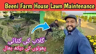 Professional Landscape and Maintenance Service | Beeni Farm House Islamabad Green Belt