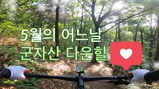 5월 어느날의 군자산 다운힐(