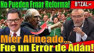NADIE PUEDE FRENAR LA REFORMA ELECTORAL, ES UN RECLAMO DEL PUEBLO Y LA PROPUESTA VIENE DE CLAUDIA!