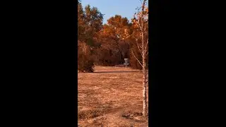 Gotta Go Gotta Throw Disc Golf Updates & Highlights -2025-08-25T20:03:47+0000