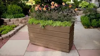Planting in a Rectangular Container // Garden Answer