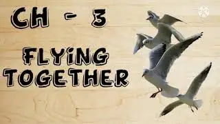 Ch -3 (Flying Together)|| Part - II || English|| By : Creative Knowledge|| Renika Malik....