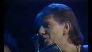 Crosby, Stills, Nash & Young - Teach Your Children - 12/4/1988 - Oakland Coliseum Arena (Official)