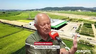 ICMS do arroz pode ser retirado a partir de hoje (04) em SC