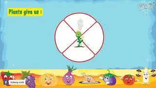 Kinds of food | Different types of food | Different sources of food | Elementary Science Food