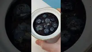 Как вырастить чернику🫐 #фрукт #растение #каксделатьсДжесси