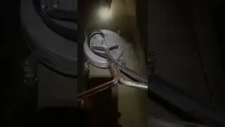 Слишком свеже