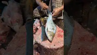 Wow!! Big Giant Rohu: Fish Cleaning & Cutting in Village Market #shorts