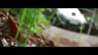 | 2015 | Kerala Grand Christian Wedding Highlight | Josna - Santhu | From Dreamart