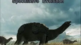 Top 10 Creatures of Speculative Evolution