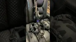 Jon Jones Gear Setup And Training His Dutch Shepherd #guns #dogs #animals #dog #dogtraining #rifle