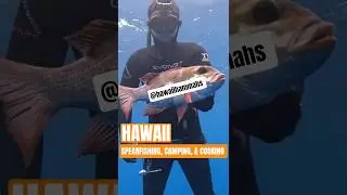 Hawaiʻi HammaHS goes camping with Native Hawaiian ʻOhana