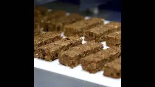 Egan Food Technologies SlabForm&trade; DUO Overview