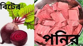 দুধ ছাড়া বিটের পনিরের রেসিপি। পনির তো অনেক রকমের খেয়েছেন এভাবে একবার বানিয়ে দেখুন।