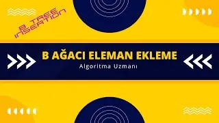 B Tree Insertion (B Ağaçlarında Ekleme İşlemi