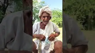 105 साल का बुजुर्ग हजारों किलोमीटर पैदल चलकर रामदेवरा पहुंचा। सच्चाई जानकर हैरानी होगी आपको।