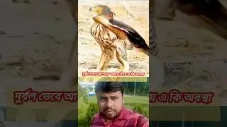 সবাইকে দুর্বল ভাববেন না 🤔👍🙋#viralvideo #youtubeshorts #notweak#highlights #everyone #shere