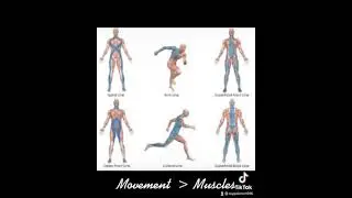 The 🔑 to fluid, powerful athletic movement