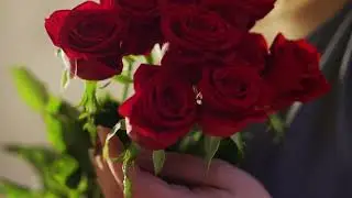 Where The Roses Never Fade (Cover)